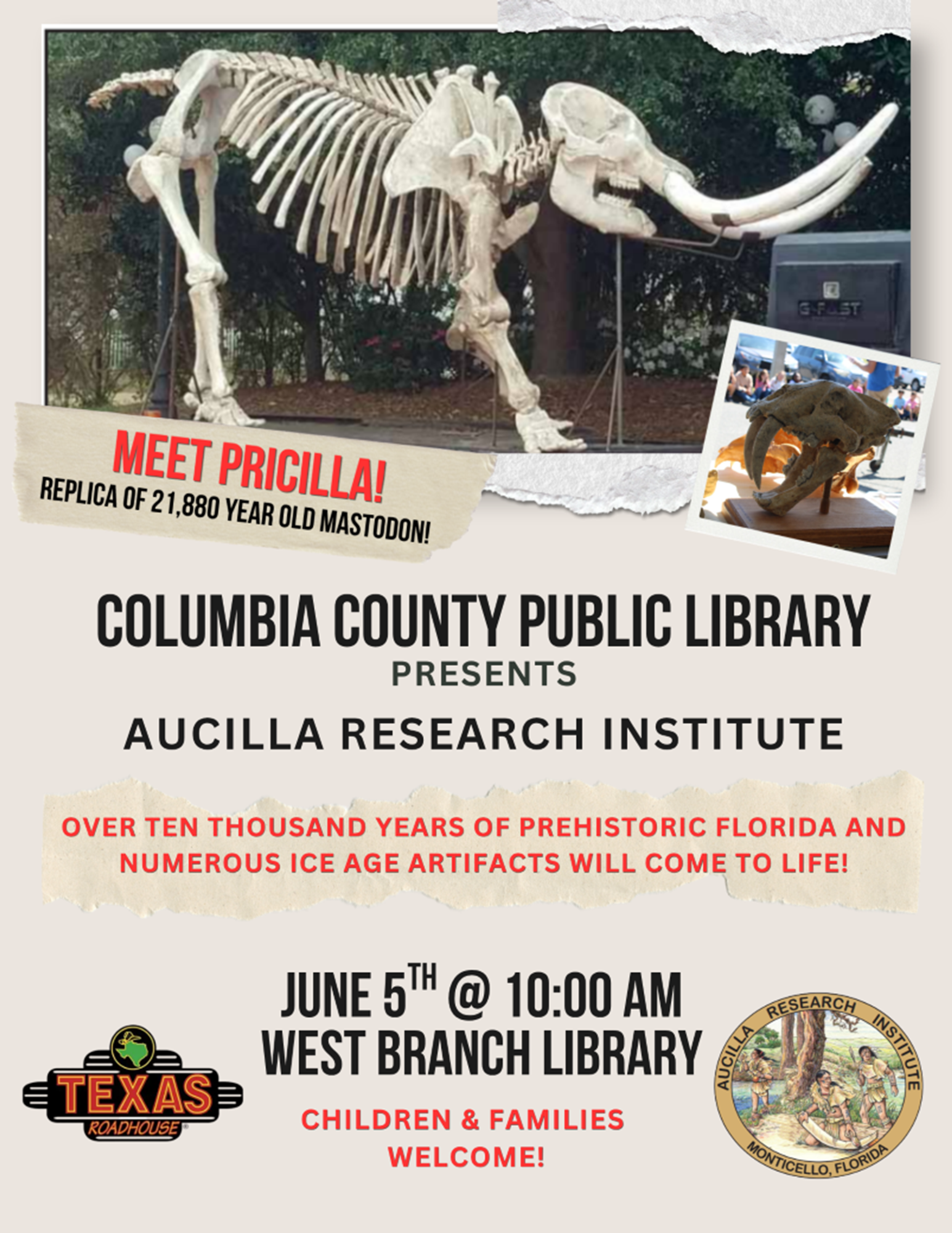 Priscilla the Mastodon